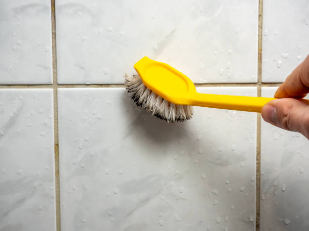 Best Residential Mold Removal  in Anaconda, MT