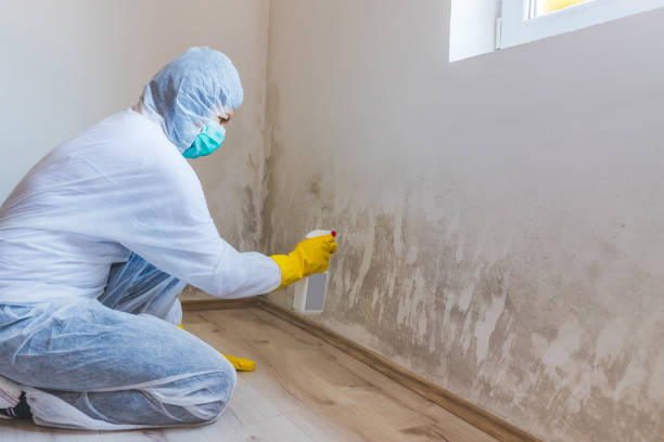 Certified Mold Removal in Anaconda, MT