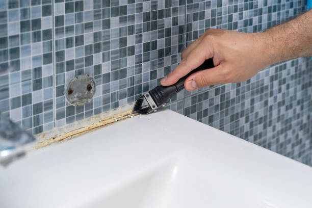 Best Mold Removal Company Near Me  in Anaconda, MT