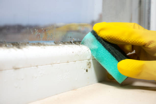 Anaconda, MT Mold Removal Company