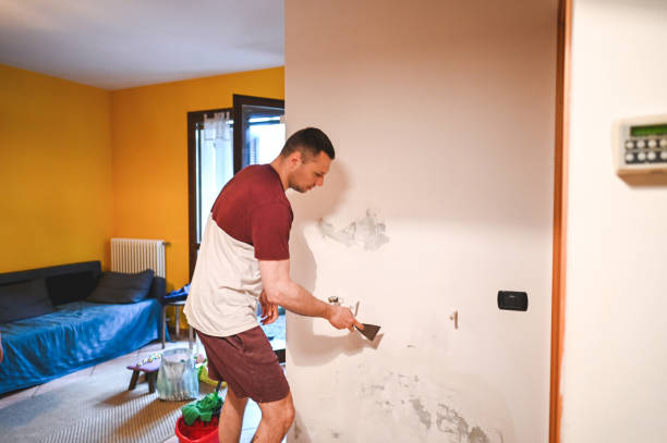 Best Local Mold Removal Service  in Anaconda, MT